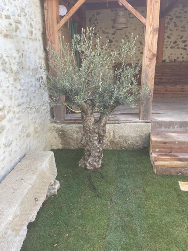 Drome Provencale Maison Familiale Calme Dans Village Valréas Eksteriør bilde